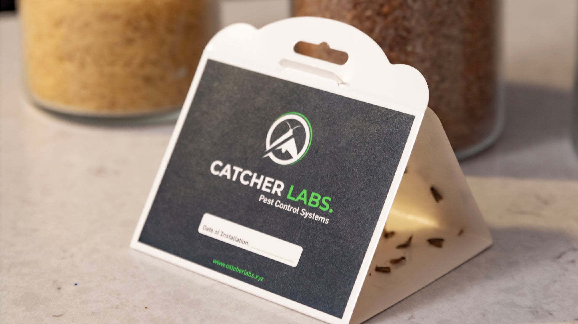 Pantry Moth Traps - One of The Most Affordable and Best Solution for Moth Infestations At Your Kitchen