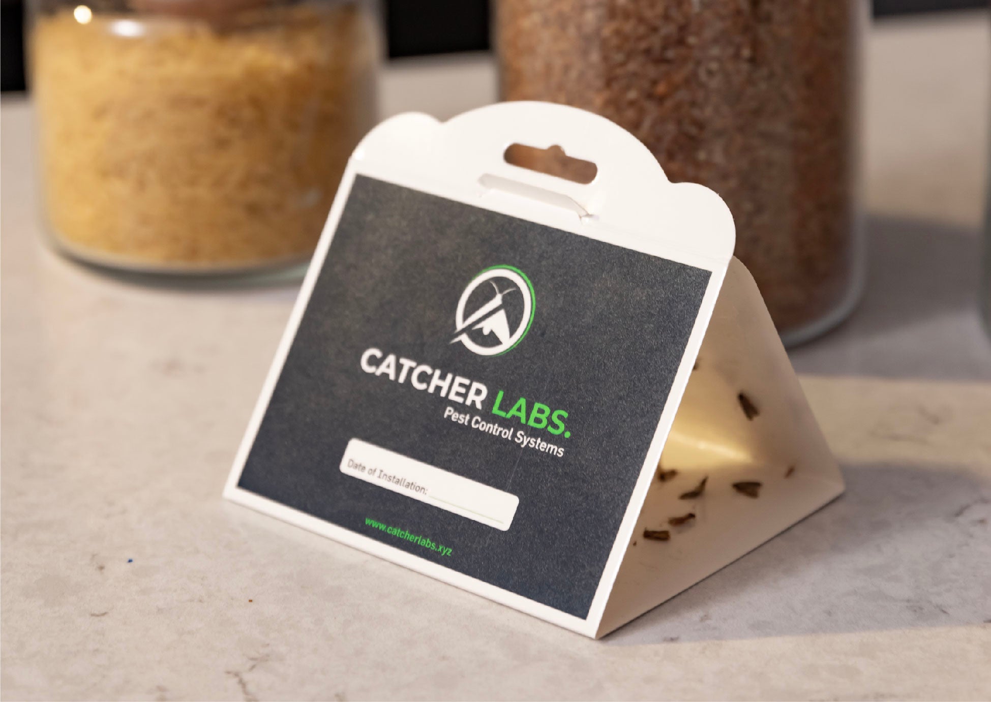 Pantry Moth Traps - One of The Most Affordable and Best Solution for Moth Infestations At Your Kitchen